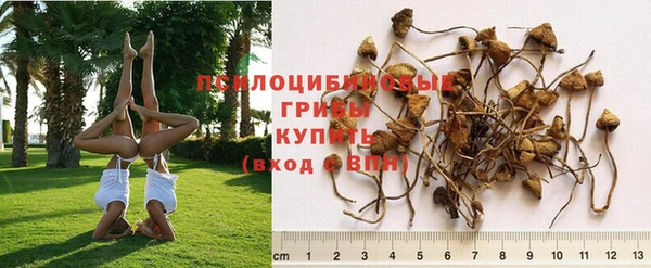 альфа пвп VHQ Лабытнанги