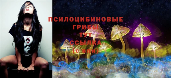 синтетический гашиш Кулебаки