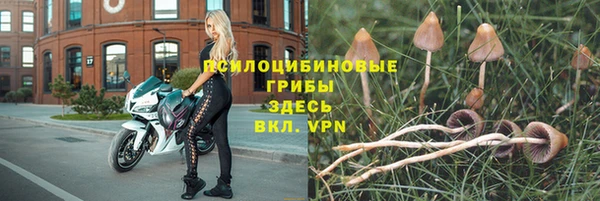 прущие грибы Лагань