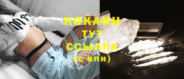 прущие грибы Лагань