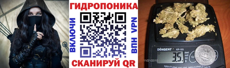 Купить  Елизаветинская  МАРИХУАНА OG Kush 